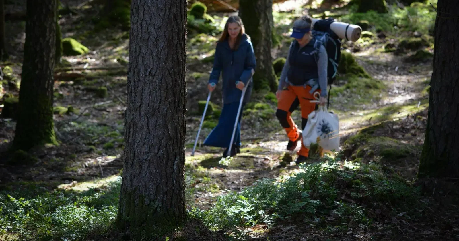 Two people walk through the forest, one using crutches and the other carrying a backpack. Sunlight filters through the trees. The image shows an accessible nature experience with Pevon Ecotourism.