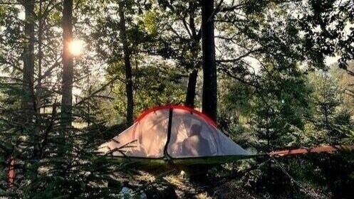 Upphängt trädtält i skogen under soluppgång, med varmt ljus som filtreras genom träden för en stillsam trädtält‑upplevelse.